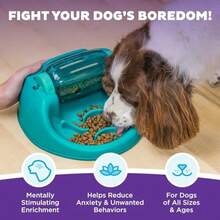 By Nina Ottosson Spin N' Eat Dog Puzzle And Slow Feeder, Level 2 Intermediate Enrichment Toy, Green - Spin N Eat Green - 查看 3