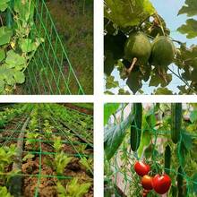 1件植物攀爬網,適用於藤本植物、小黃瓜、蔬菜、水果、花卉、番茄、豆類。適用於草坪維護與景觀美化。耐老化材質,可重複使用 - A - 查看 7