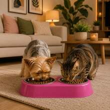 Double Pet Feeder/Waterer For Dogs And Cats, Stainless Steel Bowls, 450ml - Gấp đôi - Xem 12