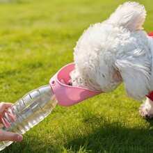 Portable Silicone Pet Water Bowl, Outdoor Travel Cat Dog Water Feeder With Lanyard, Fits Regular Water Bottles, Suitable For Walking And Hiking - Outdoor Water Dispenser (water Bottle Not Included) - View 4