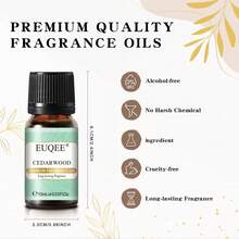 1 buah Minyak Wangi Kayu Cedar EUQEE 10ml/0.33fl.Oz, Aroma Tahan Lama untuk Diffuser, Parfum DIY Rumah, Aromaterapi, Pelembap Udara, Diffuser Batang, Pembuatan Lilin, Kristal Beraroma, Perawatan Kulit - Kayu cedar - View 5