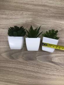 3件套仿真多肉植物迷你盆栽套装，绿色和粉色仿真微型植物，适用于花园、书桌、房间、窗台、办公室装饰、婚礼布置、家居装饰 - 彩色 - 查看 8