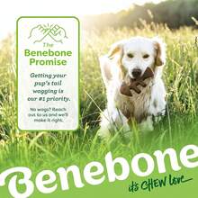 Benebone Medium 4-Pack Dog Toys Aggressive Chewers – Durable Dog, Made In USA – Dog Toys Medium Dogs Under 60 Lbs 6ODE - Bộ 4 sản phẩm phiên bản giới hạn - Xem 4