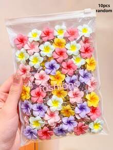 20/10件/色樹脂花朵髮夾，耐用且親膚，甜美清新髮飾－適合女孩與青少年，日常配戴、外出、度假、上學 - 彩色 - 查看 10