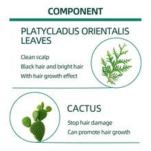 Líquido de Cuidado Capilar Herbal con Hoja de Biota Oriental, Nutre el cuero cabelludo, fortalece las raíces, reduce la caída y revitaliza el cabello débil - 1 - Ver 5