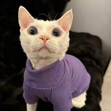 Pet High Neck Base Layer Top, Internet Celebrity Devon Rex Cat Outfit, Home Daily Photography, Devon Rex Curly Hair Cat, Sphynx Hairless Cat, Elastic Ribbed Skin-Friendly Warm Long Sleeve Top - Green - View 1