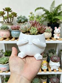 迷你可愛設計花盆 多肉綠植盆栽 扦插容器 高美感小花盆 室內外陽台花架 辦公室臥室桌面居家療癒裝飾 - A - 查看 8
