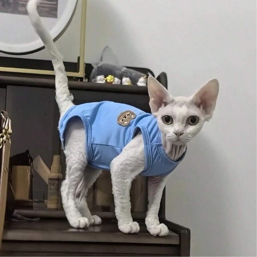 轻薄透气无袖背心,适合夏季穿着,可爱小熊刺绣,斯芬克斯猫图案,柔软不掉毛 - 綠色 - 查看 1