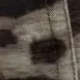 豹紋