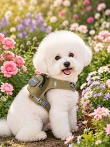 1pc Dopamine Color Cartoon Pet Harness & Leash Set, Breathable Non-Choke Anti-Escape For Small Dogs & Cats Walking - Khaki - View 4