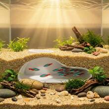Túnel de peces de acuario | Decoración de cueva curva natural adecuada para bettas, gouramis, corydoras | Accesorio para acuario de agua dulce y salada | Lugar de escondite de peces de fácil instalación - A - Ver 4