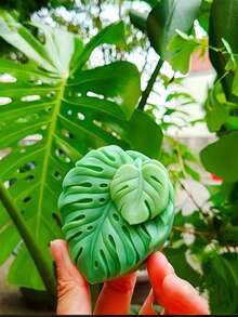1 buah Cetakan Daun Silikon DIY Cetakan Lilin Silikon Bentuk Daun - A-putih - View 1