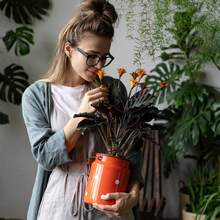 2/1件裝蜂巢形植物攀爬架，戶外盆栽植物支撐架，防鏽塑料架，適用於盆栽藤蔓與花卉，室內外花園省空間支撐架 - 多款 - 查看 3