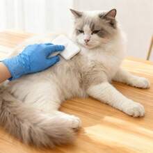 4/50/100pcs Blue Disposable Nitrile Gloves Powder Free Latex Free, Soft Elastic Protective Gloves For Medical Exam Food Handling Cooking Kitchen Cleaning Lab Home Commercial Use - Blue - View 8