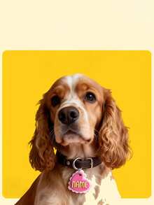4*4cm Personalized Heart Pet ID Tag: Custom Acrylic Dog, Cat, Rabbit Name Tag - Multicolor - View 2