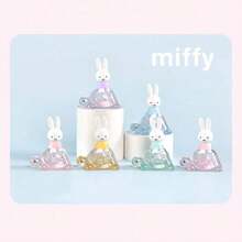 Miffy 烏龜盲盒神秘公仔，可愛 PVC 動漫迷你娃娃，驚喜娃娃，隱藏版，禮物吊飾，居家裝飾 - 彩色 - 查看 3