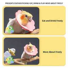 Bird Recovery Neck Collar, Soft Lightweight Anti-Pecking Conical Collar, Suitable For Parrots, Protective Collar To Prevent Feather Plucking And Biting, Multiple Sizes Available - Flower - View 5