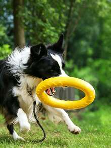 1/2 piezas Juguete de pelota de silicona para perro, juguete de entrenamiento interactivo para cachorros, disco volador suave y flexible para mascotas, adecuado para perros pequeños, medianos y grandes, juguete de ejercicio y juego para interiores y exteriores, accesorios de entrenamiento para perros, suministros de actividad y juego para mascotas - Multicolor - Ver 2