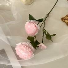 1/2/6/8 pièces Fleurs de pivoine artificielles, tiges de pivoine fausses en vrac, décorations florales réalistes avec tiges, idéales pour mariage, fête, décoration de gâteau, décoration de table de salon, plantes artificielles, ornements d'automne, décoration de chambre & jardin, cadeaux. - Multicolore - Voir 3