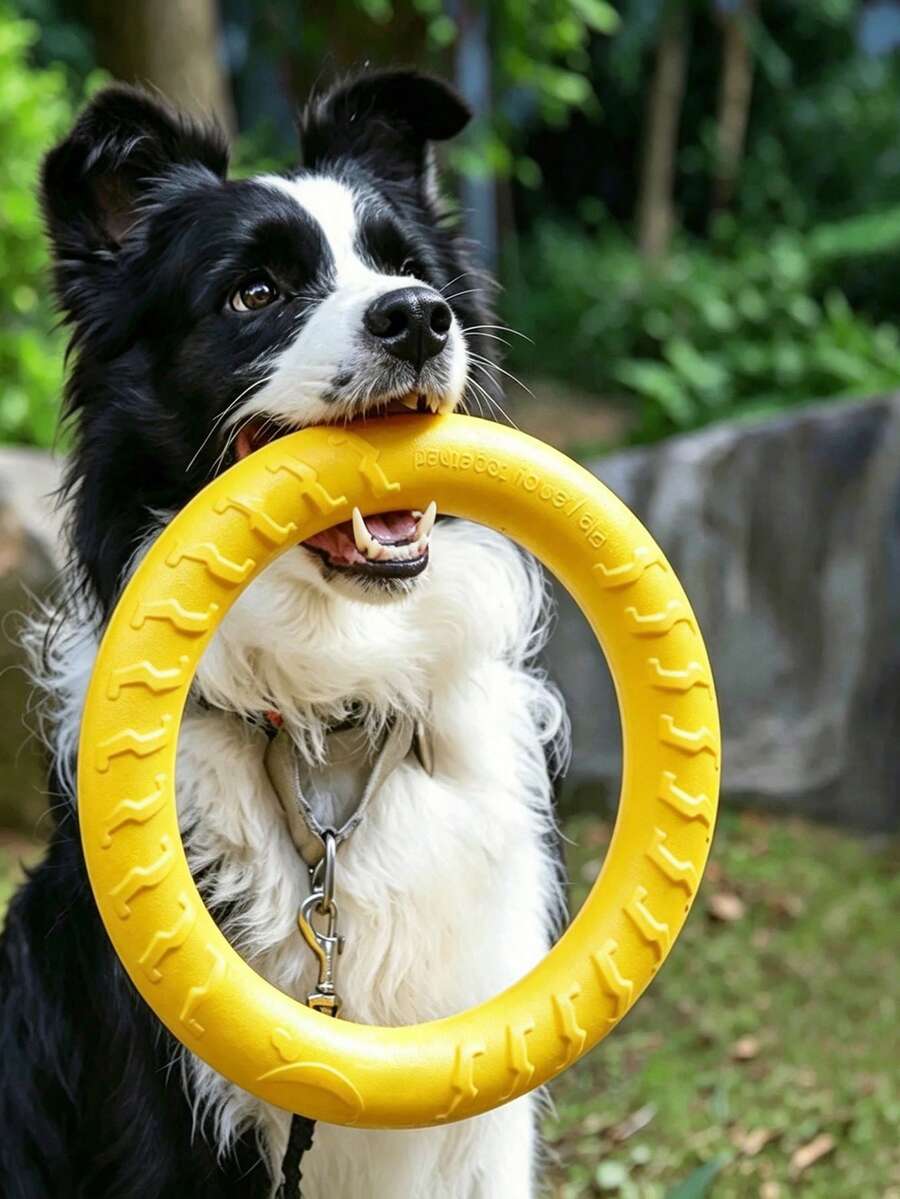 1/2 piezas Juguete de pelota de silicona para perro, juguete de entrenamiento interactivo para cachorros, disco volador suave y flexible para mascotas, adecuado para perros pequeños, medianos y grandes, juguete de ejercicio y juego para interiores y exteriores, accesorios de entrenamiento para perros, suministros de actividad y juego para mascotas - Multicolor - Ver 1