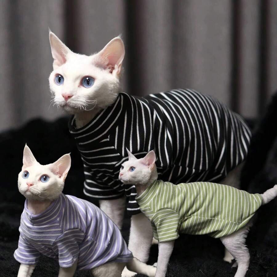 斯芬克斯小猫弹力条纹打底衫,柔软透气,保护腹部和腿部 - 淡紫色 - 查看 1