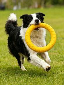 1/2 piezas Juguete de pelota de silicona para perro, juguete de entrenamiento interactivo para cachorros, disco volador suave y flexible para mascotas, adecuado para perros pequeños, medianos y grandes, juguete de ejercicio y juego para interiores y exteriores, accesorios de entrenamiento para perros, suministros de actividad y juego para mascotas - Multicolor - Ver 4
