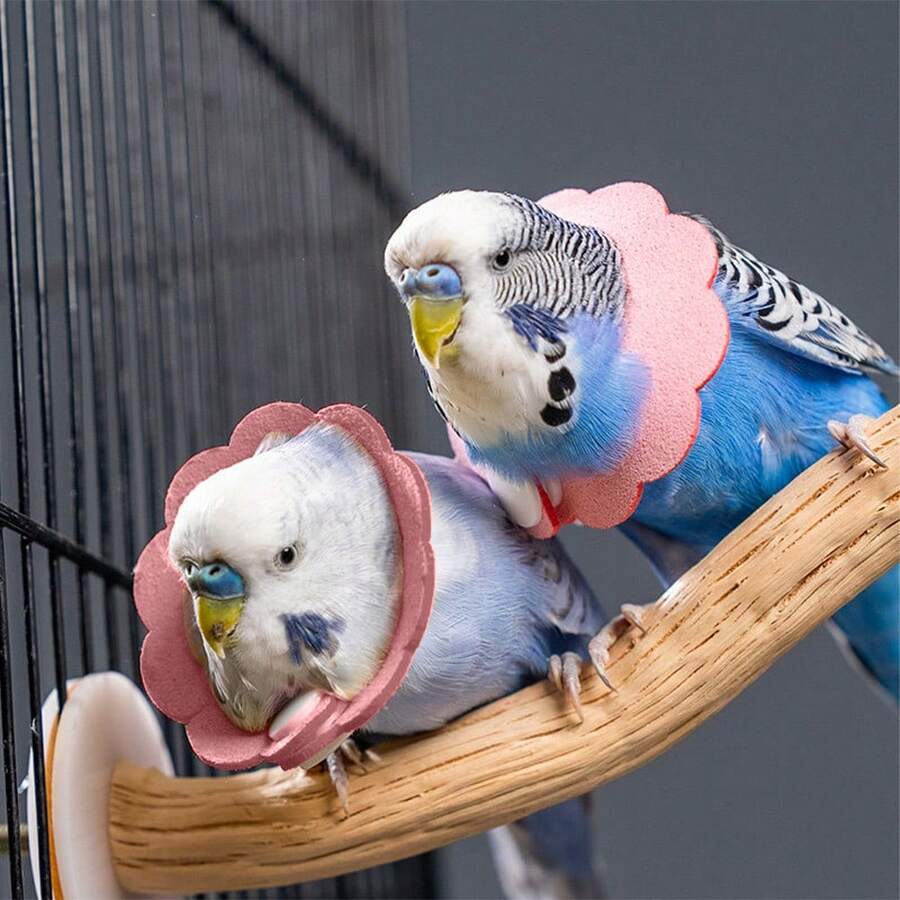 Bird Recovery Neck Collar, Soft Lightweight Anti-Pecking Conical Collar, Suitable For Parrots, Protective Collar To Prevent Feather Plucking And Biting, Multiple Sizes Available - Flower - View 1