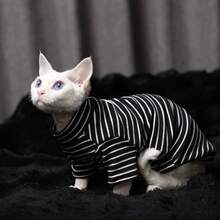 无毛猫衣服，柔软透气的斯芬克斯幼猫弹力条纹内衣，保护腹部和腿部 - 黑色 - 查看 6