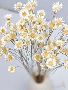 30/60/100/150/200pcs Pack Brazilian Small Star Flower Chamomile Decor, Mini Daisy Bouquet, Home Decor, Valentine's Gift, Photography Prop, Suitable For Boho Style Room Floral Decor, Wedding Vase Bedroom Floor Decor, Artificial Plants - White - View 4