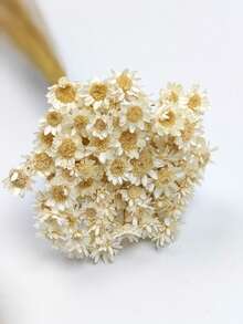 30/60/100/150/200pcs Pack Brazilian Small Star Flower Chamomile Decor, Mini Daisy Bouquet, Home Decor, Valentine's Gift, Photography Prop, Suitable For Boho Style Room Floral Decor, Wedding Vase Bedroom Floor Decor, Artificial Plants - White - View 6