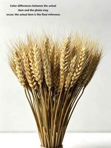 120pcs Realistic Artificial Wheat Stalks, Natural Plastic Material, Suitable For Wedding Table Decoration, Autumn Gathering, Home Decor, Store Opening, Floral Arrangement, Room Decoration And DIY Crafts - Wheat - View 7