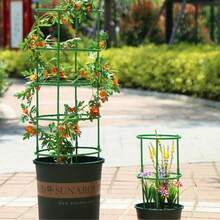 120入植物支撐樁、植物支撐環附扭轉紮帶，可拼接花架支撐，室內植物花架適用於陽台分枝與攀爬架 - 綠 - 查看 3