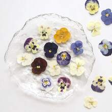 32pcs/16pcs Mixed Style Dried Pressed Flowers For Candle Decoration Resin DIY Art Crafts, Dry Flower For Bookmark Jewelry Making, Candles Making, Soap Making, Phone Cases, Mirror Decor, Epoxy, Artificial Rose Flowers, Perfect For Women Girl Birthday Gift Women Day's Gift Mother Day's Gift| Retirement Gift, Wedding Gift - Multicolor - View 3