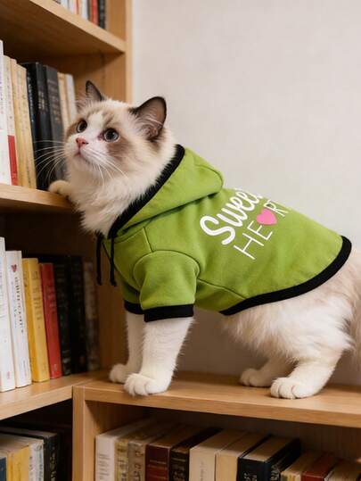 Phiên bản tiếng Anh: Áo hoodie cho chó màu xanh lá cây thoải mái, thích hợp cho các hoạt động ngoài trời, có in hình trái tim và chữ cái.
