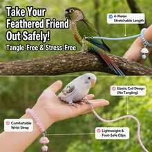Adjustable Parrot Outdoor Harness Leash Anti-Fly Training Walking Rope For Budgie Cockatiel Sun Conure - Multicolor - View 3