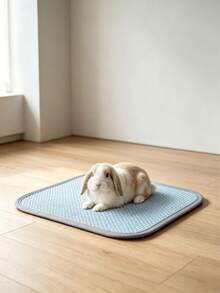 1pc Natural Woven Rattan Pet Cooling Mat: Suitable For Small Dogs, Cats And Other Small Animals, Can Be Placed On Bed, Sofa Or Floor, Cat Bed, Dog Bed - Multicolor - View 5