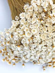 30/60/100/150/200pcs Pack Brazilian Small Star Flower Chamomile Decor, Mini Daisy Bouquet, Home Decor, Valentine's Gift, Photography Prop, Suitable For Boho Style Room Floral Decor, Wedding Vase Bedroom Floor Decor, Artificial Plants - White - View 7