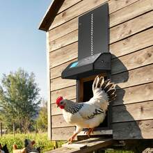 Automatic Chicken Coop Door, Battery Powered Chicken Coop Door With Timer & Manual Setting, Anti-Pinch Security, Durable Aluminum Alloy, Auto Chick Run Gate Opener With Waterproof Sealing, Black - Black - View 1