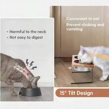 Stainless Steel Cat/Dog Double Bowl Set, Two Tilted Raised Bowls, Suitable For Holding Pet Food And Water, Helps Prevent Vomiting - 300ml - View 4