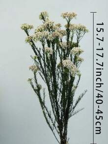 Ramo de flores artificiales, flor de arroz australiana, artículo decorativo, decoración del hogar, decoración floral para bodas, suministros de flores DIY, decoración del hogar - Flor de arroz rosa - Ver 6