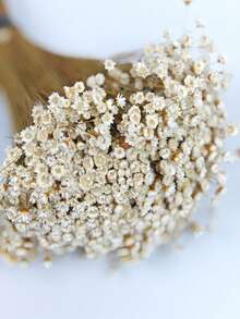 30/60/100/150/200pcs Pack Brazilian Small Star Flower Chamomile Decor, Mini Daisy Bouquet, Home Decor, Valentine's Gift, Photography Prop, Suitable For Boho Style Room Floral Decor, Wedding Vase Bedroom Floor Decor, Artificial Plants - White - View 2
