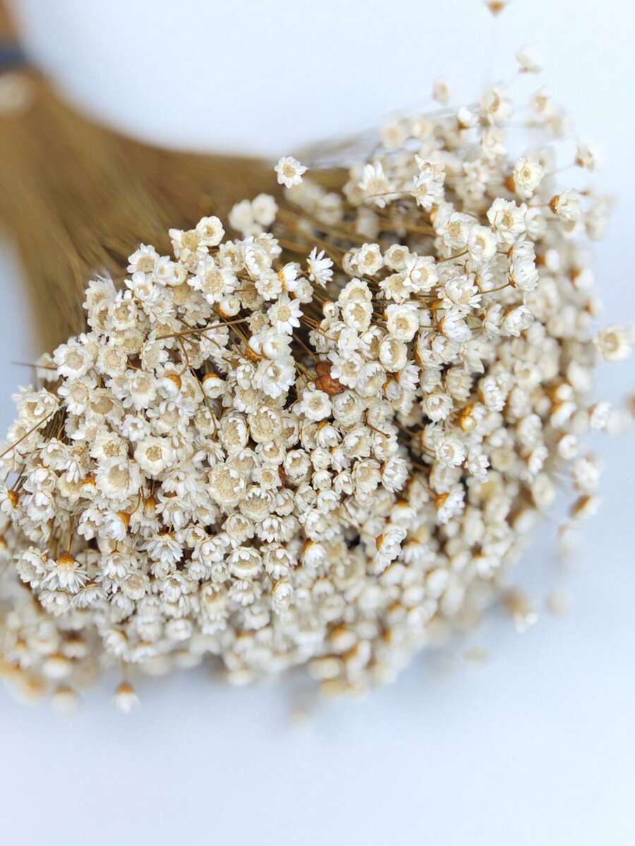 30/60/100/150/200pcs Pack Brazilian Small Star Flower Chamomile Decor, Mini Daisy Bouquet, Home Decor, Valentine's Gift, Photography Prop, Suitable For Boho Style Room Floral Decor, Wedding Vase Bedroom Floor Decor, Artificial Plants