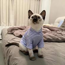 斯芬克斯小猫弹力条纹打底衫，柔软透气，保护腹部和腿部 - 淡紫色 - 查看 5