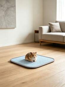 1pc Natural Woven Rattan Pet Cooling Mat: Suitable For Small Dogs, Cats And Other Small Animals, Can Be Placed On Bed, Sofa Or Floor, Cat Bed, Dog Bed - Multicolor - View 6