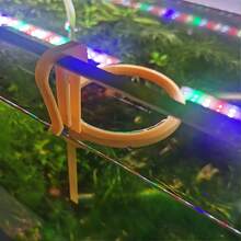 Anillo flotante para alimentar peces impreso en 3D, estación de alimentación de acuario anti-dispersión para mantener el agua limpia - Multicolor - Ver 5