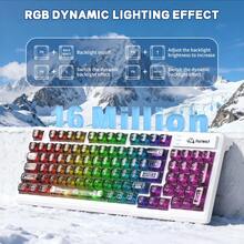FREEWOLF M95 透明薄膜鍵盤配透明鍵帽，有線電競鍵盤 RGB 背光，94 顆靜音按鍵機械手感，26 鍵防鬼鍵，適用於 Windows - 查看 6