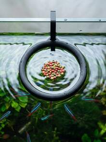 Anillo flotante para alimentar peces impreso en 3D, estación de alimentación de acuario anti-dispersión para mantener el agua limpia - Multicolor - Ver 1