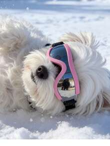 Small Dog Pet Sunglasses, Medium Cat Pet Sunglasses, Pet Goggles Also Can Be Used As Photography Glasses - Multicolor - View 16