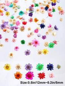 About70/140pcs/Box Colorful Dried Flowers For Jewelry Making, Resin Mold Filling, Jewelry Casting Supplies, DIY Craft Tool, Holiday Decor - Flower Resin Filler - View 3
