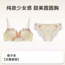 Nuevo sujetador push-up con bordado Floral dulce de encaje Sexy Retro francés - conjunto verde - Ver 2